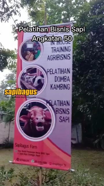 Pelatihan-Sapibagus-50